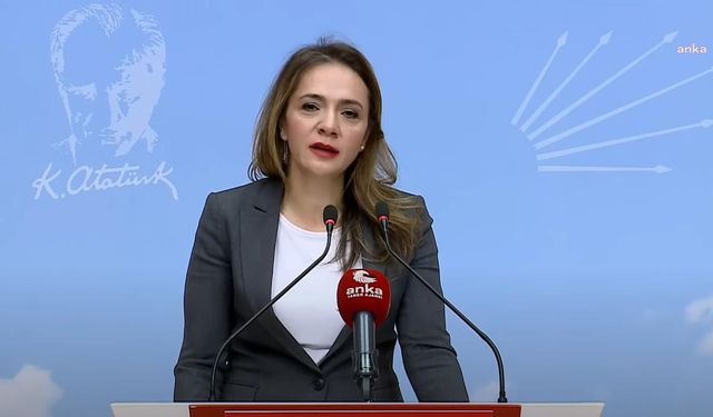 CHP'li İlgezdi: Bebekler yoksulluk içerisinde doğuyor