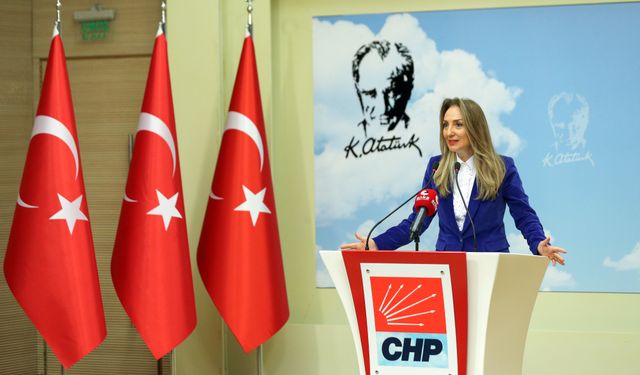 CHP, İzmir'de "Engellilik Çalıştayı" düzenleyecek