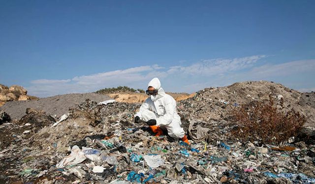 Greenpeace: Türkiye'ye ithal edilen plastik atıklar, zehirli kimyasallar saçıyor