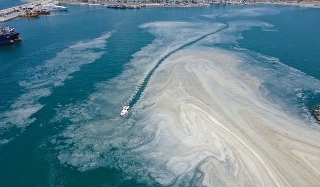 Marmara Denizi için "Müsilaj Bilim ve Teknik Kurulu" toplanıyor