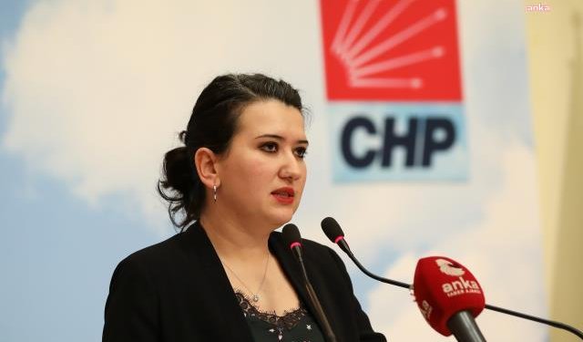 CHP'li Gökçen: LGBTİ+ hakları insan haklarıdır