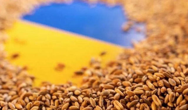 Tahıl krizini çözmek için kırmızı hat kuruldu: Ukrayna-Rusya-Türkiye hattı!