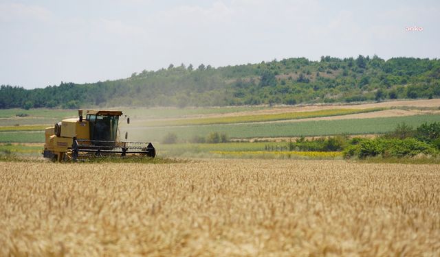 Lüleburgaz'da ihtiyaç sahipleri için ekilen buğdaylar hasat edildi
