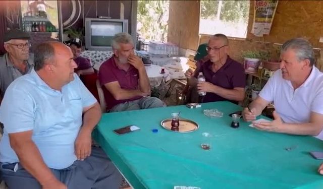 Ayçiçeği üreticileri maliyete isyan etti: Ön alım fiyatı 15 TL olsun