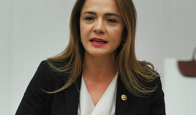 CHP’li İlgezdi’den cezaevlerindeki koşullar için araştırma önergesi: İnsani yaşam koşulları kalmadı