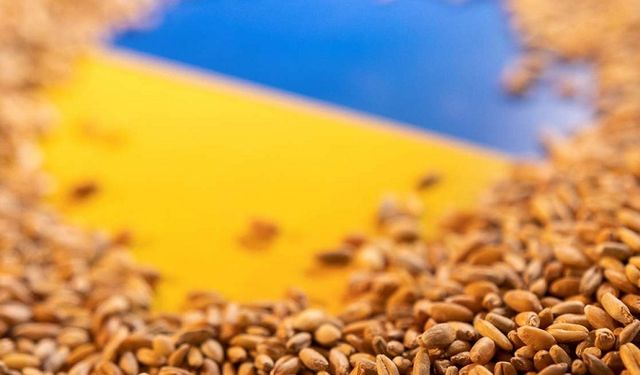 MSB: Ukrayna tahıl gemileri kısa sürede yola çıkacak