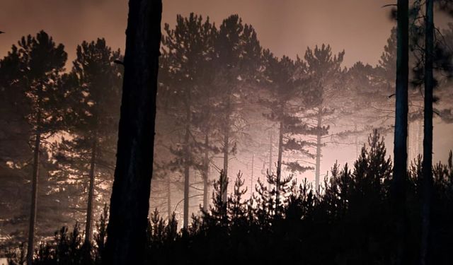 Kütahya Emet'te orman yangını: 200 hektarlık alan kül oldu, müdahaleye rağmen büyüyor