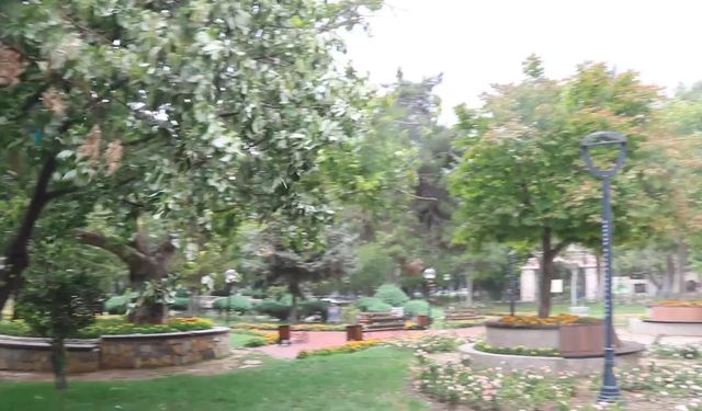 Burdur'da sağanak yağış etkili oldu, kuvvetli rüzgar ağaçları devirdi