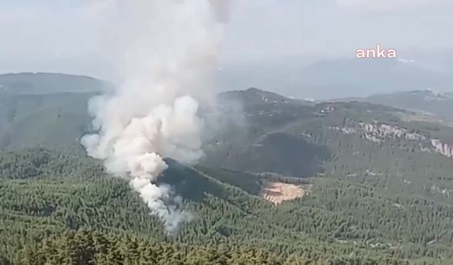 Burdur'un Bucak ilçesinde çıkan orman yangını kontrol altına alındı