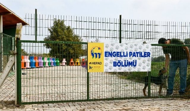 Bursa Mustafakemalpaşa'da 'Engelli Hayvan Birimi' faaliyette