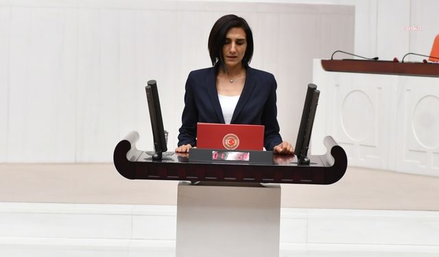 HDP'li Şevin Coşkun, Adalet Bakanı'na sordu: Cezaevlerinde hak ihlallerine dair kaç başvuru yapıldı?