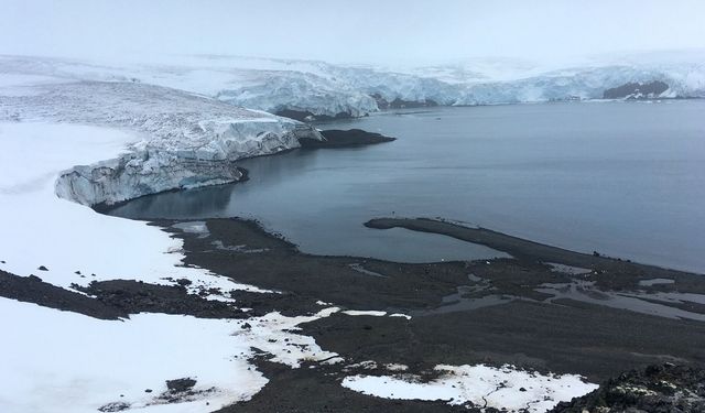 Antarktika’da tarihin en düşük deniz buzu seviyesi tespit edildi 