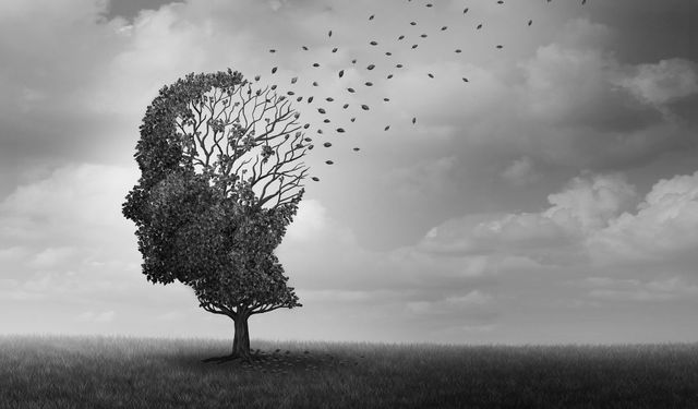 Dünya Sağlık Örgütü: Alzheimer hastası sayısı 30 yıl içinde 3 katına çıkacak