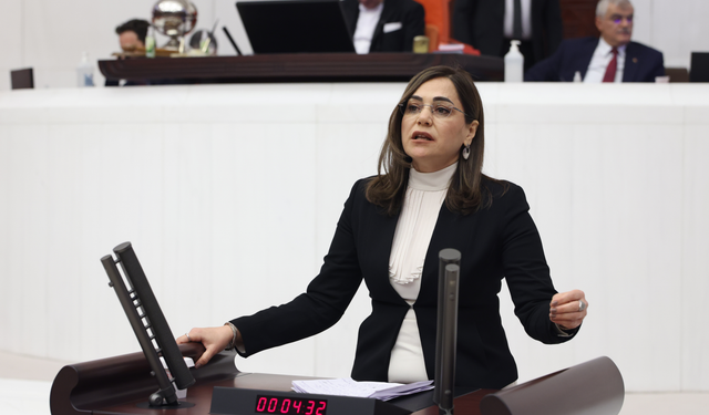 Bugün Bireysel Silahsızlanma Günü: Geçen yıl 208 kadın cinayetinden 134'ü ateşli silahlarla işlendi