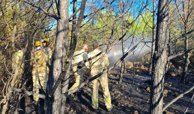 Bornova’da arıcının tütsü yapması sonucu çıkan orman yangını kontrol altına alındı