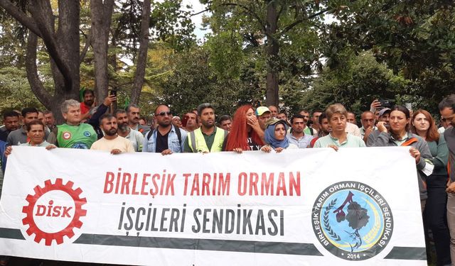 Ağaç A.Ş işçileri, İBB ile anlaşma sağlanamaması üzerine direnişe devam kararı aldı