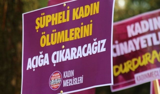 Van'ın Gürpınar ilçesinde Hülya Avcı, isimli kadın şüpheli bir şekilde yaşamını yitirdi