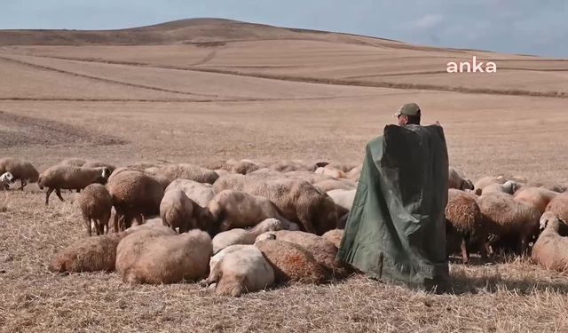 Yozgat'ta çobanlara kitap dağıtımı