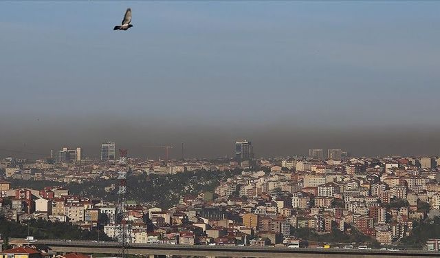 Greenpeace yeni raporunu açıkladı: Hava kirliliğinden ölüm riski, cinayetten 24 kat daha fazla