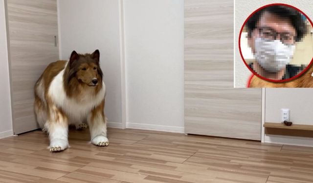 En büyük hayali köpek olmaktı: 2 milyon yen harcayıp köpek olan Japon, Youtube kanalı bile kurdu