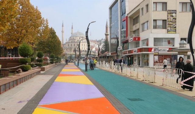 İzzet Baysal Caddesi renkleniyor
