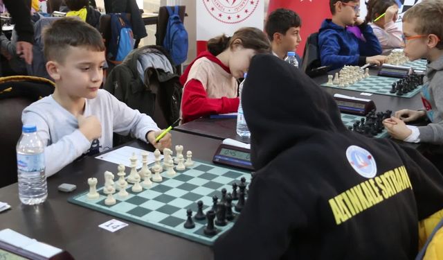 Yalova Subaşı'nda satranç turnuvası heyecanı