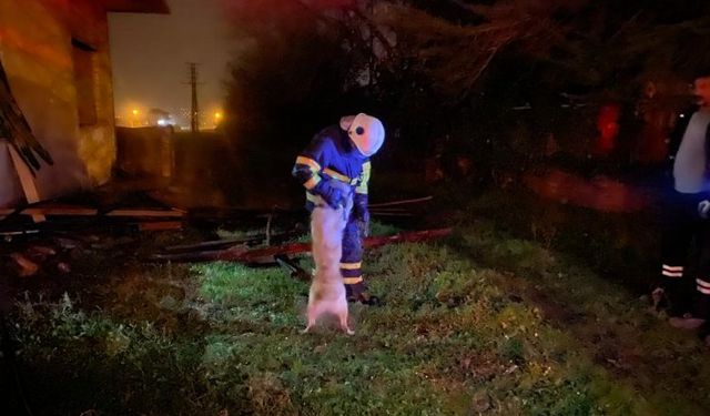 Düzce'de metruk binadaki yangında mahsur kalan köpek kurtarıldı