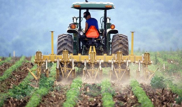 Tarım ve Orman Bakanlığı'na 1500 tarım işçisi alınacak