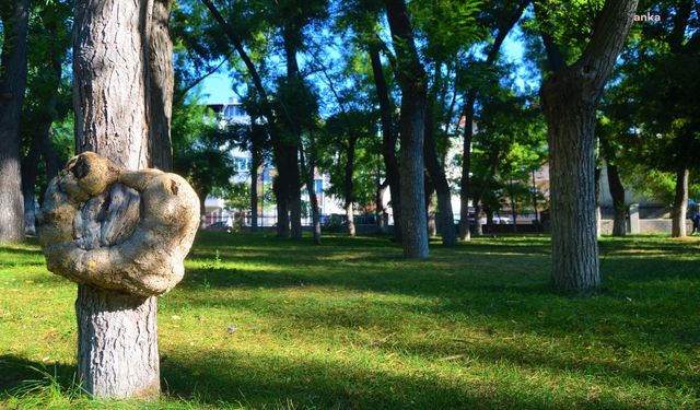 Lüleburgaz Belediyesi'nin Geri Dönüşüm Çalışmaları İle 170 Ağaç Kesilmekten Kurtuldu