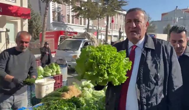 CHP'li Gürer sordu: Salatalık ve domatesin 20 liranın üstünde olduğu bir ortamda dar gelirli vatandaş nasıl geçinecek?