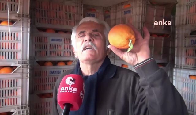 Sinoplu Pazarcı: "Ben Portakalın 3 Kilosunu 45 Tl’den Sattığım Zaman Benim Karım 4-5 Tl. Para Mıdır Bu?"