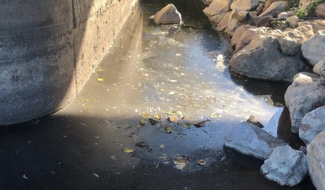 Bakan Kurum’dan Ceyhan Nehri kirliliği yanıtı
