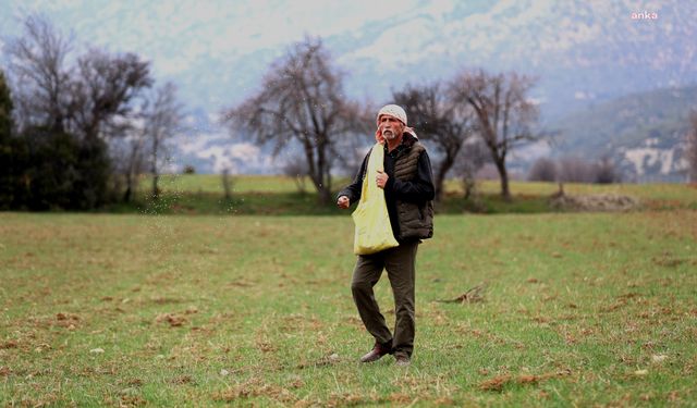 Antalya Büyükşehir, ata tohumu desteğiyle ekilemeyen alanları tarıma kazandırıyor