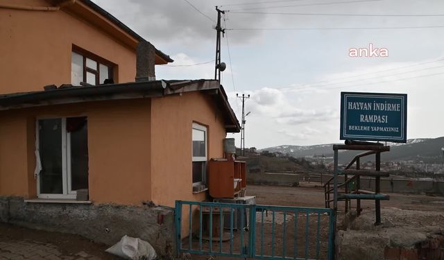 Çevre illerde görülen hastalık belirtileri nedeniyle Yozgat’ta canlı hayvan pazarları kapatıldı