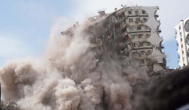 Diyarbakır'da 13 kedi kurtarılan bina yıkıldı
