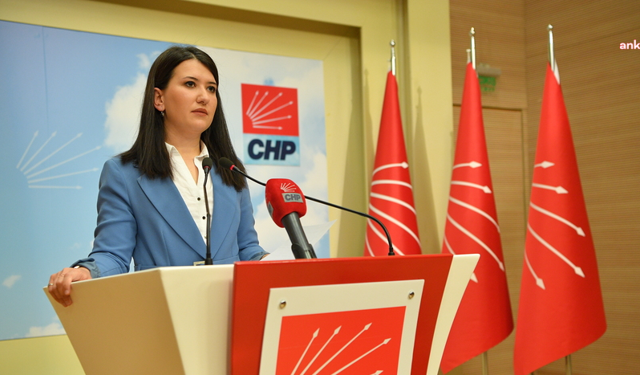 Gökçe Gökçen: Erdoğan’dan, bakanlarından ve partisinin yöneticilerinden Tom Barrack’ın hadsiz sözlerine hiçbir cevap yok