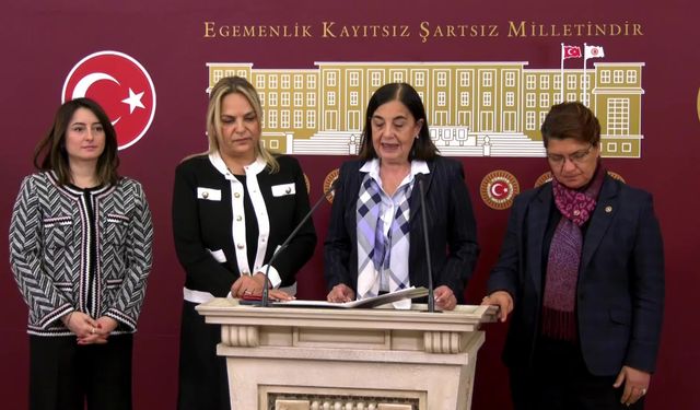 Jale Nur Süllü: Kadınların sandıkta gereken dersi AKP iktidarına vereceğine yürekten inanıyorum