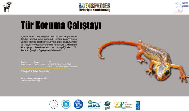 Muratpaşa'da tehdit altındaki türler için çalıştay