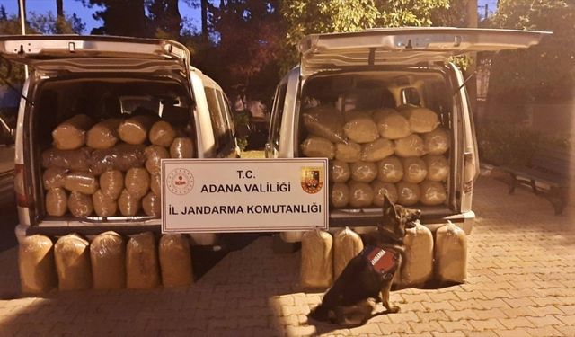 Adana'da 650 kilogram kaçak tütün ele geçirildi
