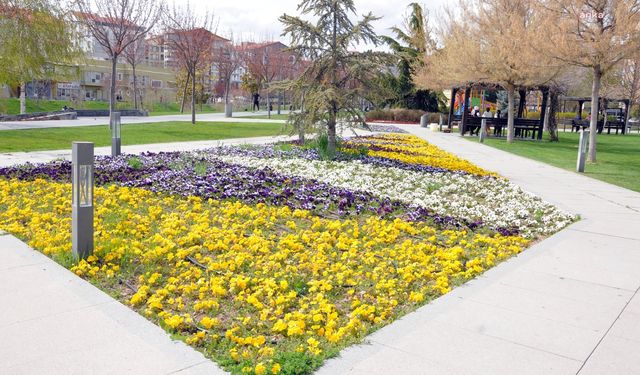 Kırşehir Belediyesi'nden Kent Park’ta temizlik ve peyzaj çalışması