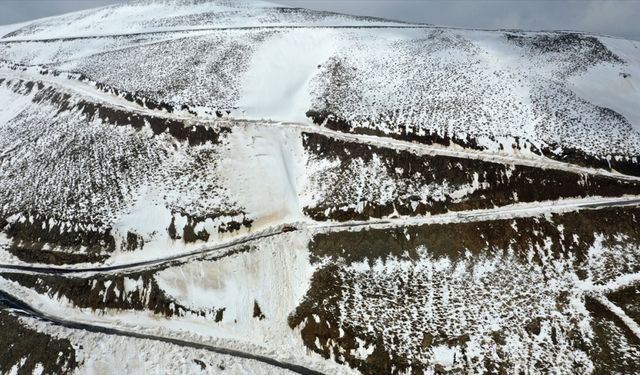 Muş'ta ekipler karla kaplı yolları açmaya çalışıyor