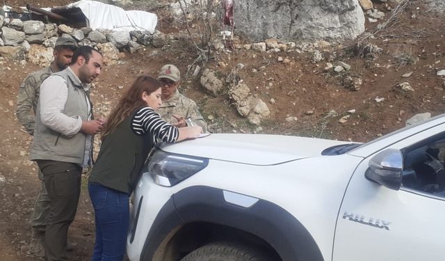 Şırnak'ta yaban keçisi avlayan 2 kişiye 265 bin lira ceza
