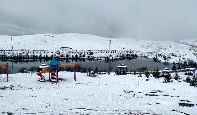 Tokat'ta kar yağışı etkili oldu
