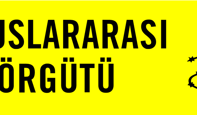 Uluslararası Af Örgütü: HDP’nin kapatılması, ifade ve örgütlenme özgürlüğü haklarının ihlali olur