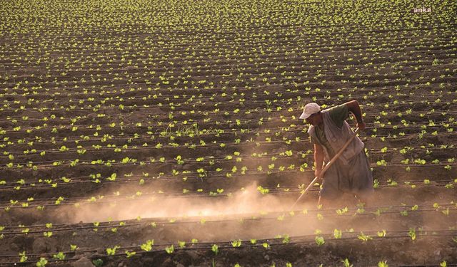 TÜİK duyurdu: "Tarımsal girdi fiyatlarında yükseliş devam etti"