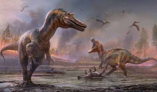 İngiltere'de "zırh derili" yeni dinozor türüne ait fosil keşfedildi