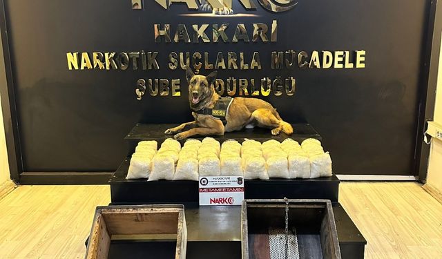 Hakkari'de arı kovanlarının içinde 46 kilo 100 gram sentetik uyuşturucu ele geçirildi
