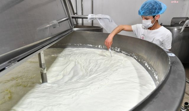 TÜİK'e göre içme sütü üretimi bir yılda yüzde 7,9 azaldı
