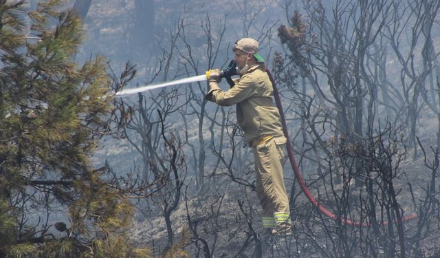 Eskişehir'de çıkan orman yangınına müdahale ediliyor