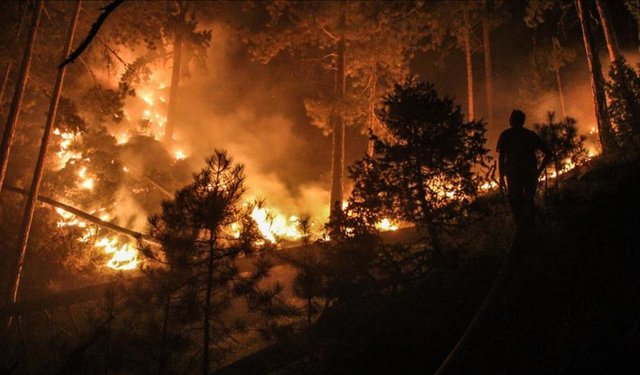 Kütahya'daki orman yangına müdahale ediliyor